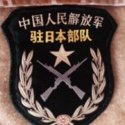 躺平的单身军宅