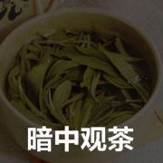 绿茶发言大赏