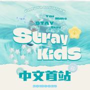 FM325_StrayKidStaytion