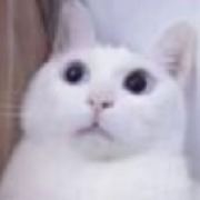 下饭樱桃子
