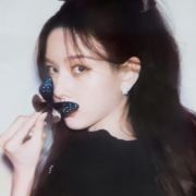 海棠柿子