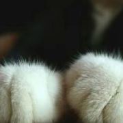 章然丶