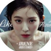 IRENE_iRecord