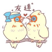鹦鹉韬韬