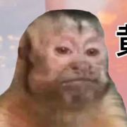 今天小弟下班了吗