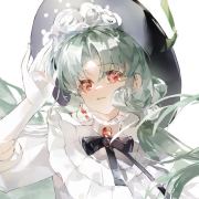 重甲乔木菇