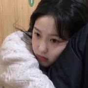 主角养成日记