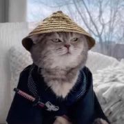 Ustiniandadadada