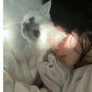 苏七七FF