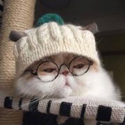 推推互推看