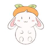 小兔子与大橙子