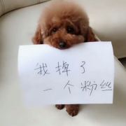 那没事我先干了