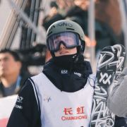 甲壳虫汁