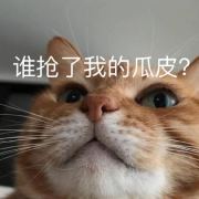猹斯拉