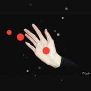 热狗特ZYgote