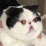 村口小超哥