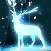 M_陌霜yu