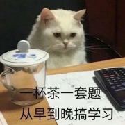 我先睡觉了喵