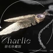 查理苏·羽毛珍藏馆