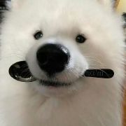 顾北谨