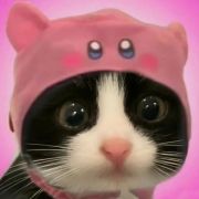 奶牛猫日记