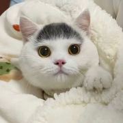星期八就睡觉-_-