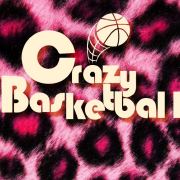 CrazyBasketball