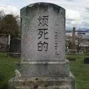 全世界在跟我作对