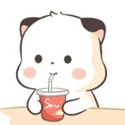 山雨丸丸落是只小猫咪