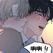 秋天宝叽不掉毛