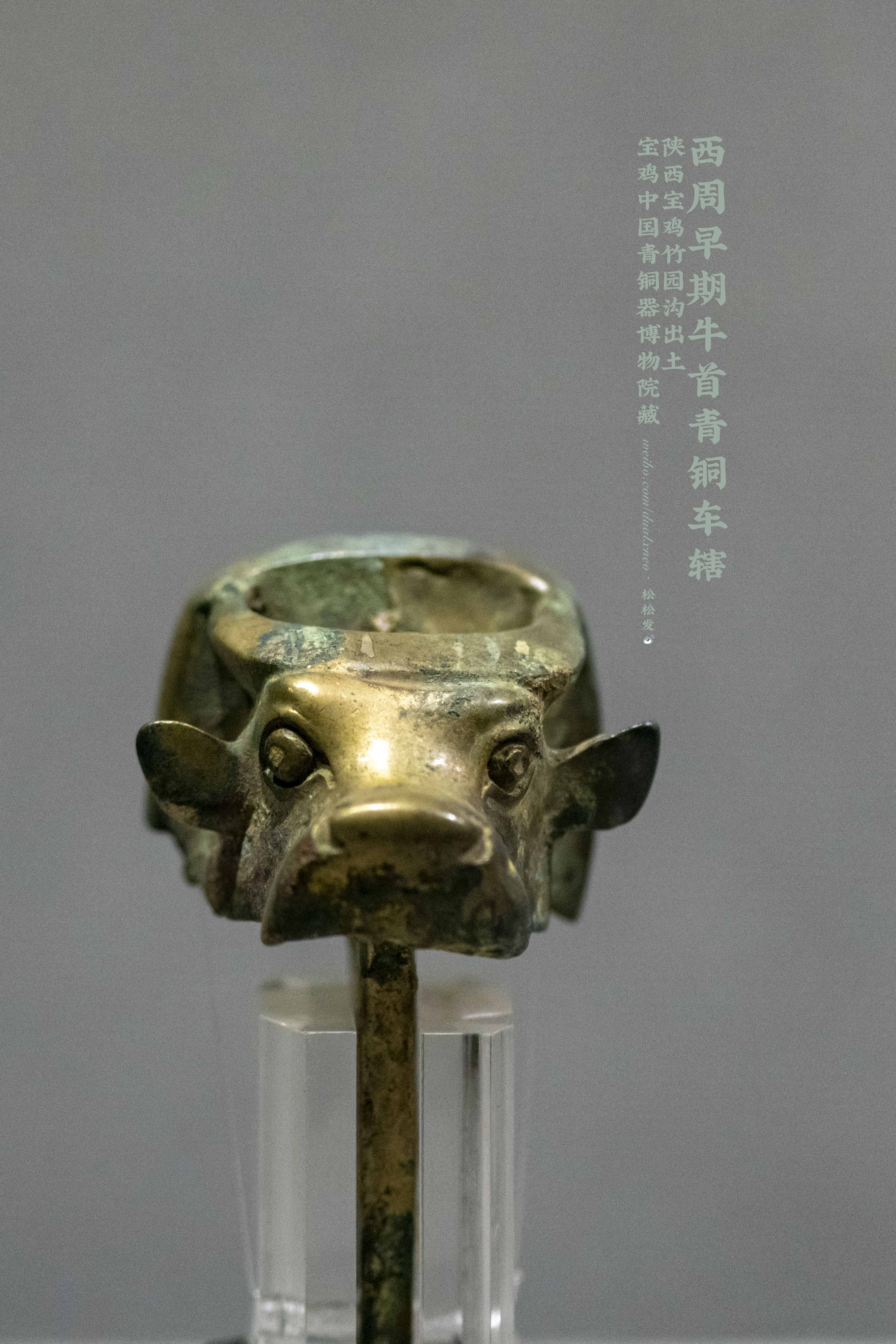 牛纹牛闻：古代牛形青铜器里的牛方鼎、牺觥
