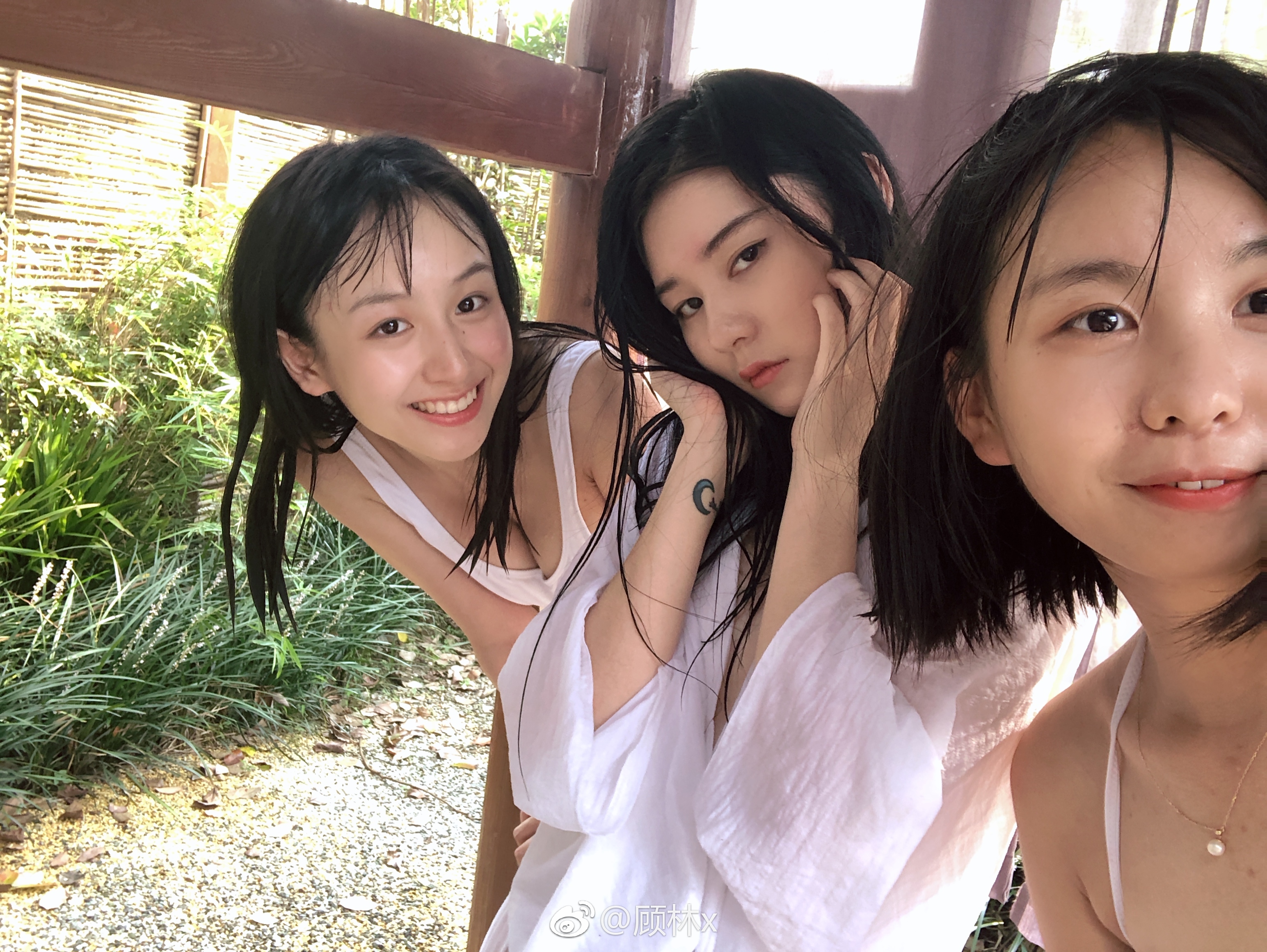 顾林 